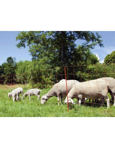 OviNet 90 cm, single prong, orange, red posts,...