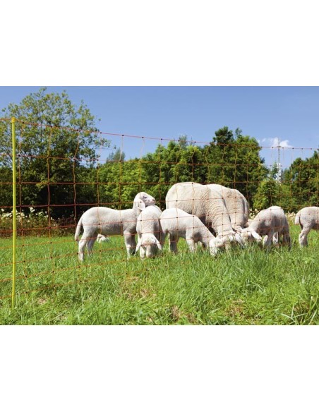 Filet mouton 90cm 2 pointes piquet jaune, 50m