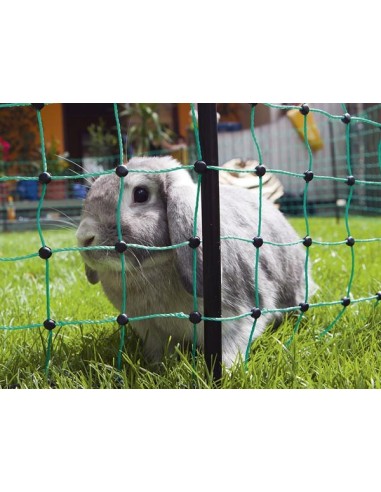 Filet lapin 65 cm, double pointe, vert, 50 m