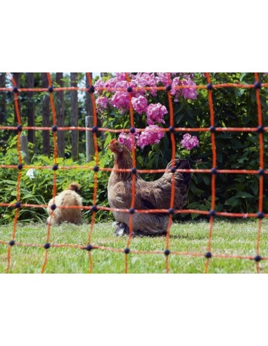 Kippennet  50 m, 106 cm Dubbele pen, oranje