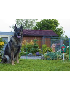 Kit chien pile avec électrificateur B40 2