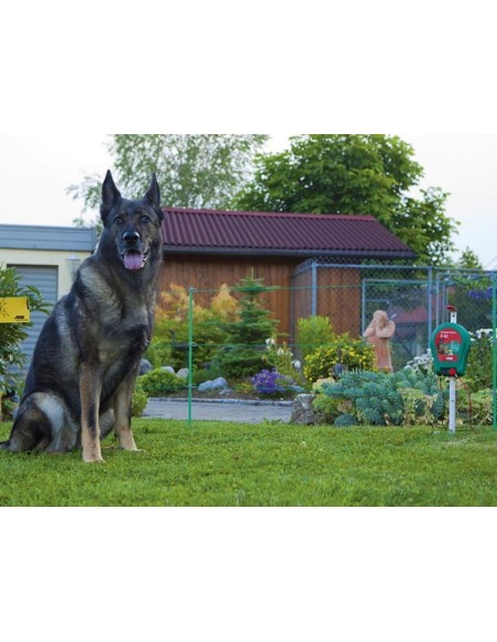 Hobbyset met batterij-app. B40 met batterijen