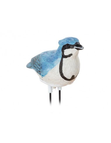 DRY SOIL ALARM - BIRD SINGS WHEN YOUR PLANT NEEDS WATER - BLUE JAY