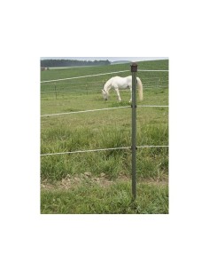 Metal T-post 167 cm, green/grey 2