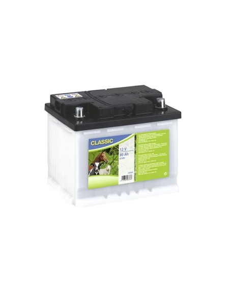 Special wet rechargeable battery, 12V, 80 AH (C100)