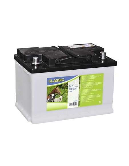 Special wet rechargeable battery, 12 V, 100 AH (C100)